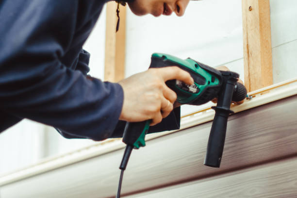 Best Siding Painting and Refinishing  in Brushy, OK